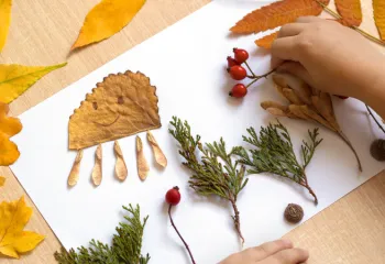 photo of nature crafts