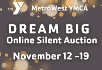 graphic promoting dream big online silent auction