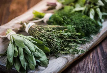 bunches of different herbs laying on wooden table