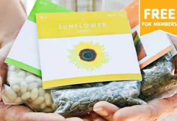 up close image of seed packets 