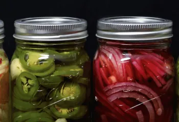 Pickling Workshop!