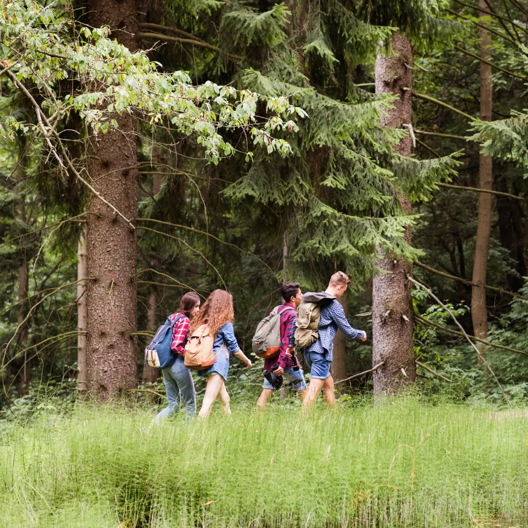 group of teens hiking in woods