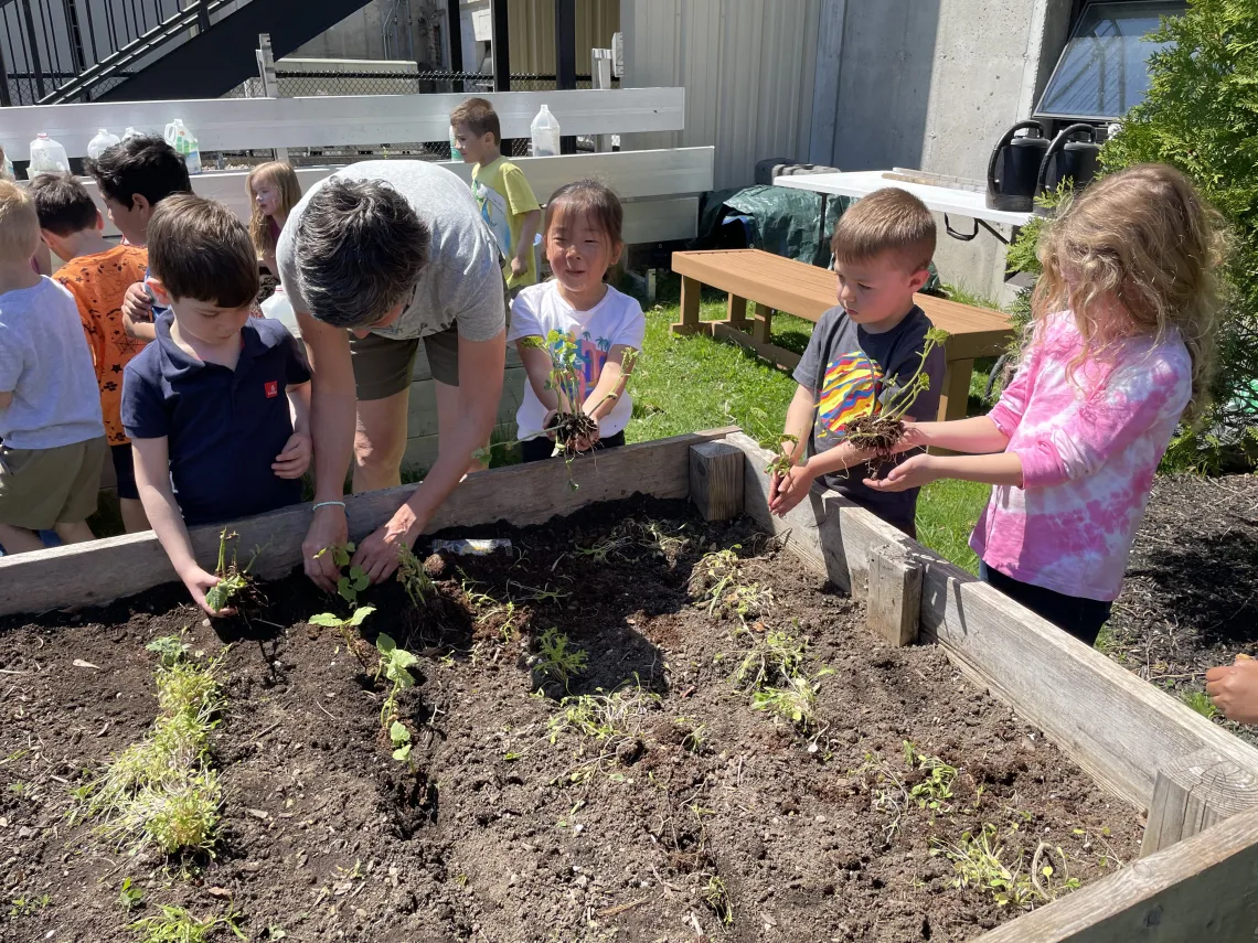 young children learning how to garden in garden bed