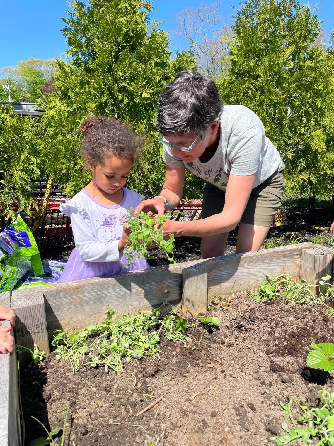 teacher showing preschool girl plants in a garden