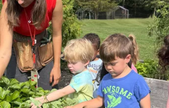 Kids learning how to grow food