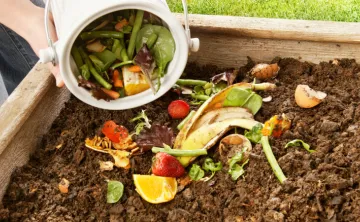 image of fruit and veggie scraps being used as compost