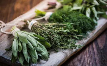 bunches of different herbs laying on wooden table