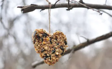 heart-shaped bird feeder ornament hanging from a tree